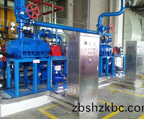 萊州(zhou)電廠